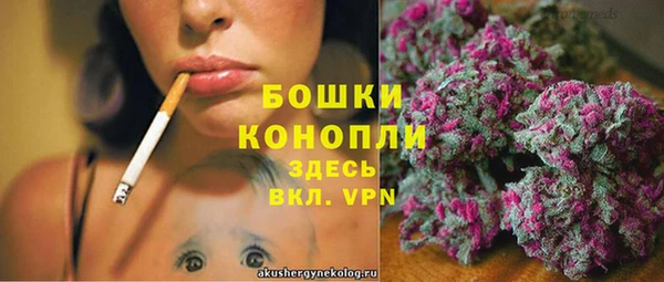 прущий лед Горняк