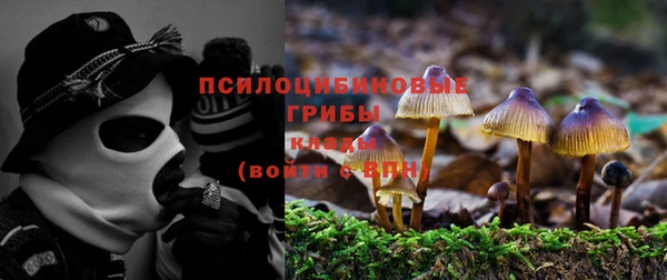 прущий лед Горняк