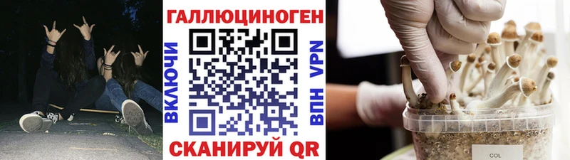 Псилоцибиновые грибы Magic Shrooms  Далматово 